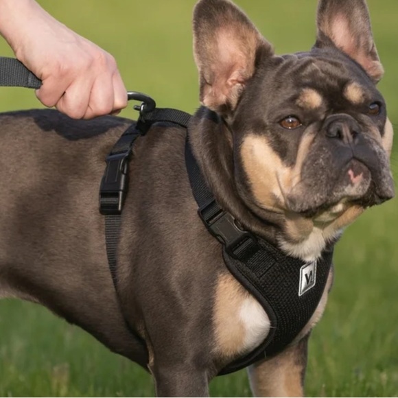 VIBRANT LIFE | Mesh Adjustable Dog Harness - Picture 2 of 5